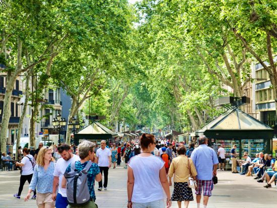 ガウディの傑作から学ぶSDGs！グエル公園入場チケット事前予約＋街歩き音声ガイドアプリ フラメンコショー付きプランあり＜緊急時の24時間日本語サポート付＞