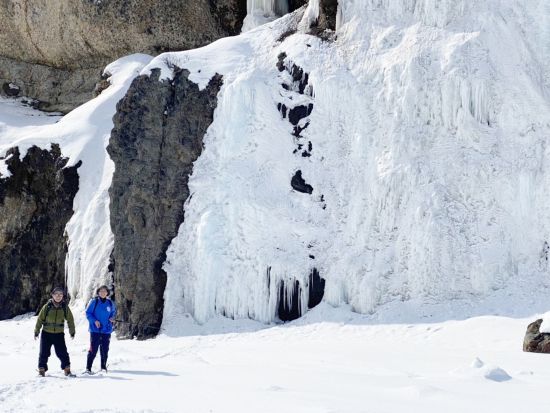 スノーシューツアー 手つかずの大自然が色濃く残る網走市能取半島氷の滝『氷瀑』をスノーシューで散策＆野生動物ウォッチングツアー＜1月～3月／午前中／網走市内発着＞