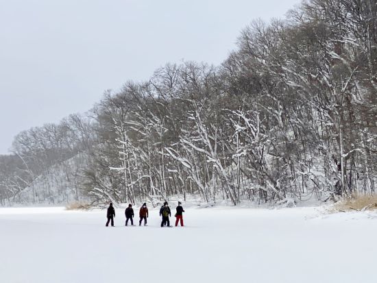 スノーシューツアー 様々な生態系を育む網走国定公園呼人半島手つかずの大自然をスノーシューで散策＆野生動物ウォッチングツアー＜1月～3月／午前中／網走市内発着＞