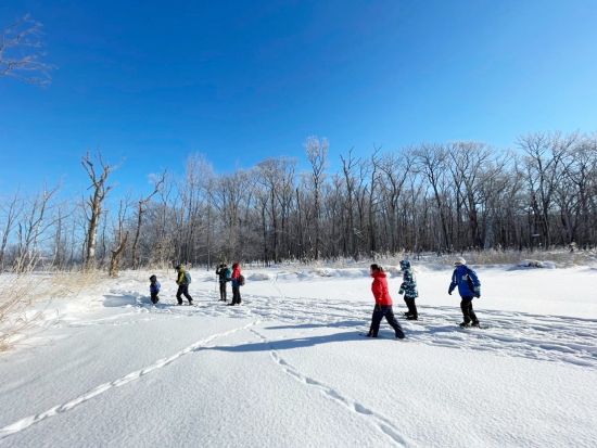 スノーシューツアー 様々な生態系を育む網走国定公園呼人半島手つかずの大自然をスノーシューで散策＆野生動物ウォッチングツアー＜1月～3月／午前中／網走市内発着＞