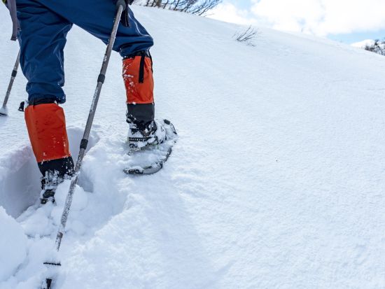 スノーシューツアー 様々な生態系を育む網走国定公園呼人半島手つかずの大自然をスノーシューで散策＆野生動物ウォッチングツアー＜1月～3月／午前中／網走市内発着＞