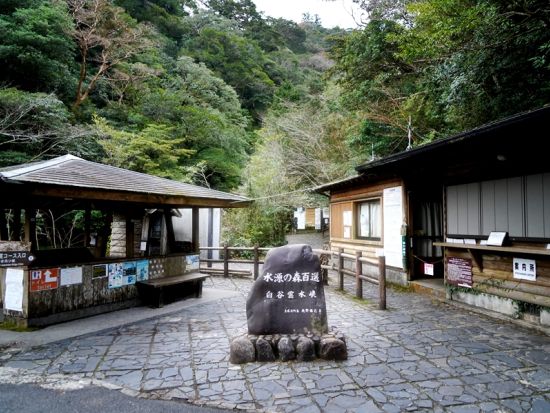 白谷雲水峡トレッキングツアー 太鼓岩コース＜宮之浦～尾之間エリア送迎可＞ by ファウンターズ