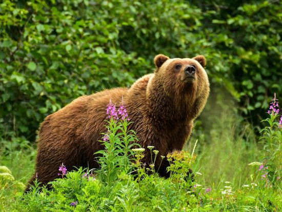 is8damdeiok7qoh3ldqy