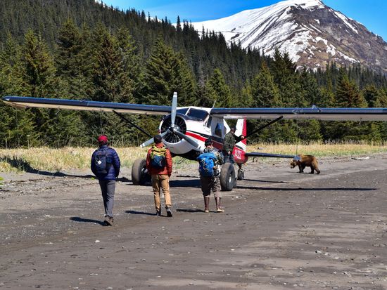 umccoliorcjqsplalbh7