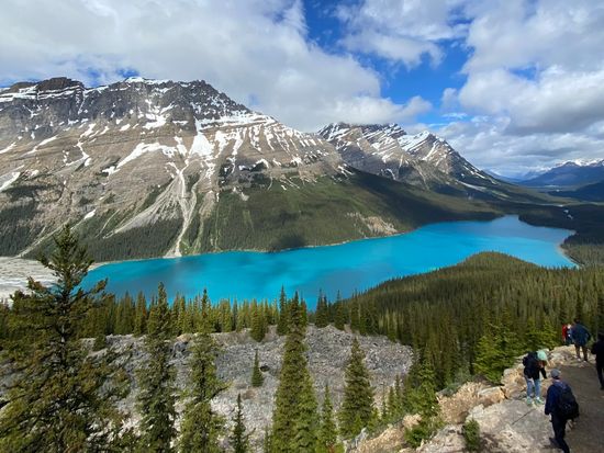繝倥ｚ繧､繝医・繝ｬ繧､繧ｯ