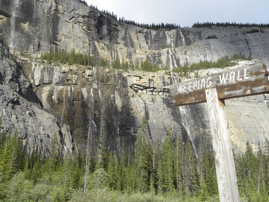 繧ｦ繧｣繝ｼ繝偵ｚ繝ｳ繧ｯ繧吶え繧ｩ繝ｼ繝ｫ