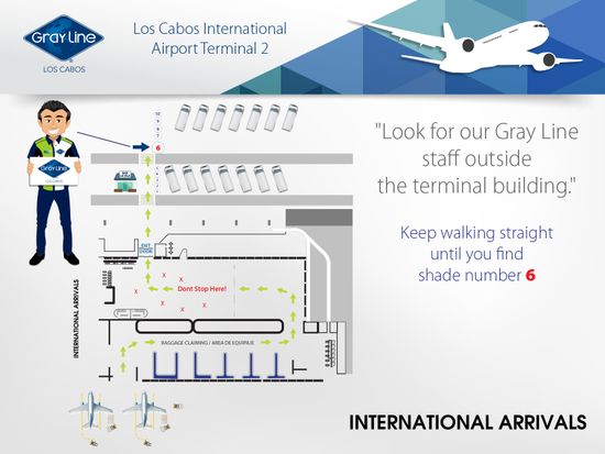 GRAY_LINE_LOS_CABOS,__TERMINAL_2