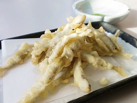 20181108004440_837563373_14621_0