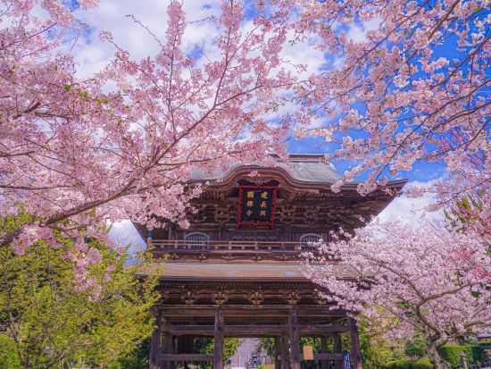 江ノ島観光タクシー 円覚寺＋建長寺＋鶴岡八幡宮を貸切タクシーで快適に巡ろう！＜4時間／1～9名／鎌倉＞