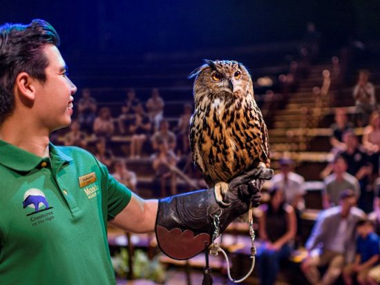 シンガポール半日観光＆ナイトサファリツアー マーライオンなど定番観光＋日本語音声トラム乗車＋特別指定席でアニマルショー鑑賞　夕食付き選択可＜午後／日本語ガイド＞
