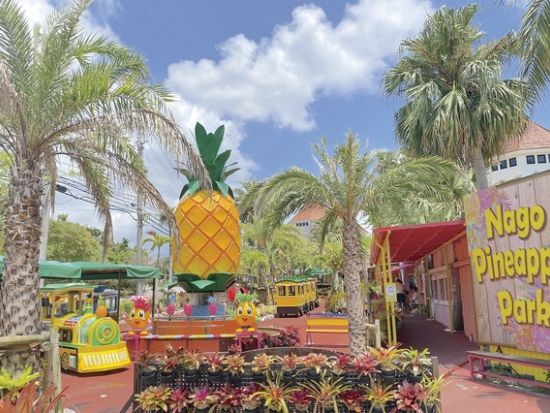ナゴパイナップルパーク 前売り入場チケット