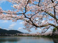 F 大覚寺