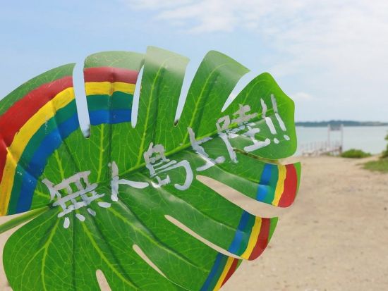 カヤマ島1日海水浴コース 美しい海に囲まれた無人島でやすらぎのひと時を体験＜8時間／通年／昼食付／石垣発＞ 