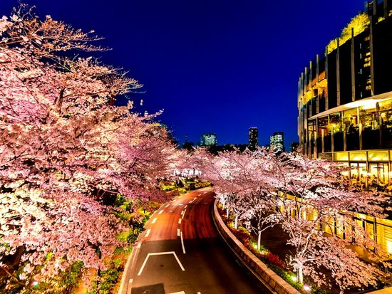 pixta_87032390_M