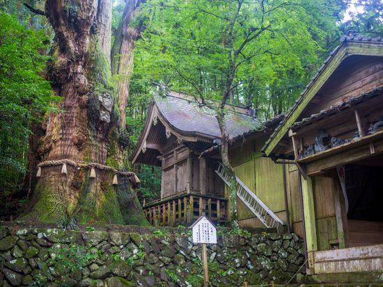 大杵社pixta_57478921_M