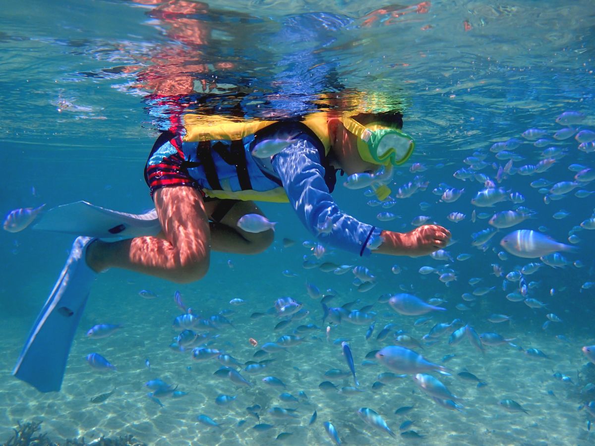 マンタ or ウミガメシュノーケル+幻の島上陸＆青の洞窟探検+ウミガメ