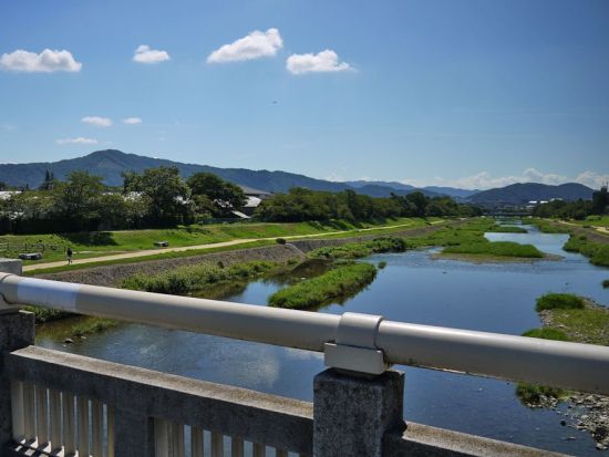 【多言語バスツアー】オープントップバス 開放感あふれるバスで二条城や西本願寺など名所を車窓観光＜英・中・韓音声ガイド＞by おこしバス（京都定期観光バス）