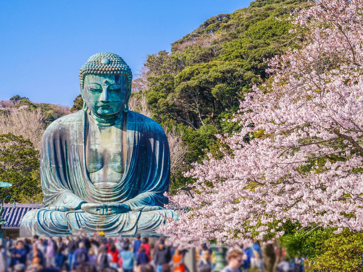 神奈川の桜、お花見特集 | 日本 旅行の観光・オプショナルツアー予約