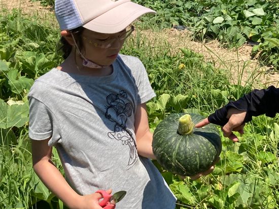 06A00568-0C17-479F-AD8B-472083C2E740