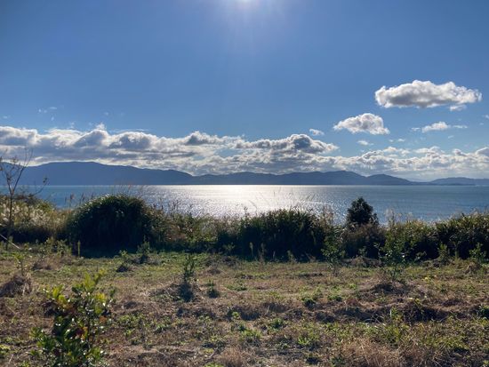 B79E9DE5-4DA5-42A8-AEF6-DF5D702CF61B(1)