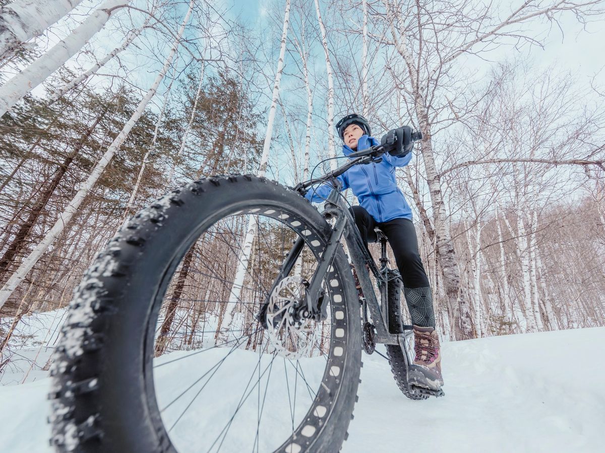 新車　札幌引取限定　ファットバイク　キズあり BRONX FATBIKE ファットバイク 在庫 取り寄せ可能 札幌 LOV – LOV