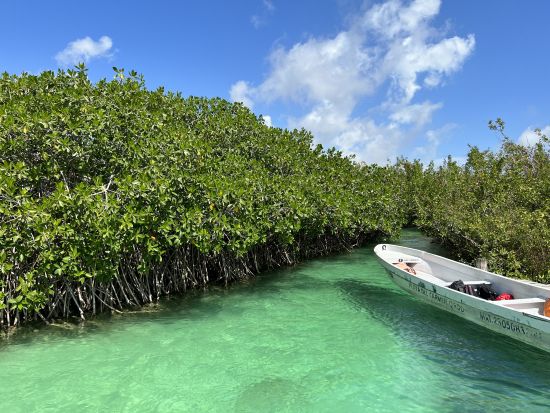 カリブ海の美しい秘境を巡る日帰りツアー シアン・カアン＋カーンルーム＋トゥルム遺跡 or グランセノーテ＜日本語スタッフ同行／カンクンorプラヤデルカルメン発＞