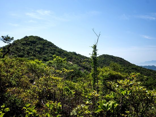 pixta_90227074_天狗山