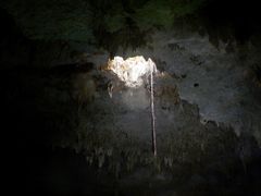 DSCN5493