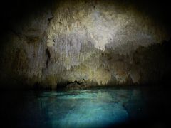 DSCN5495
