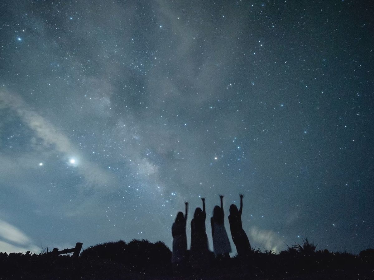 ナイトサファリツアー！満天に輝く星の下で沖縄の動植物に出会う探検