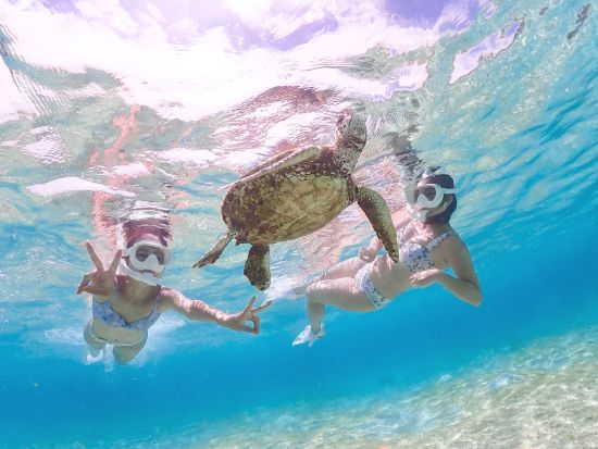 ウミガメシュノーケル　世界屈指の透明度を誇る宮古島の海でウミガメと一緒に泳ぐシュノーケリングプラン＜宮古島＞by 宮古島マリン SUGAR3