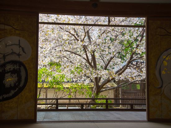 pixta_13561074_常照皇寺の桜.jyoshokoji