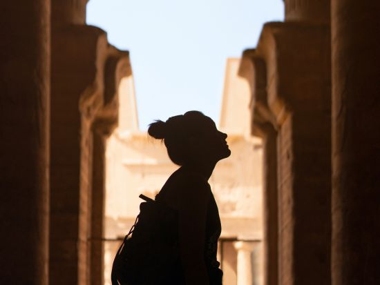 ホルス神殿とコム・オンボ神殿 ナイル川流域の神殿地域を巡る日帰り観光ツアー＜チップ込／日本語／送迎付／アスワン発＞