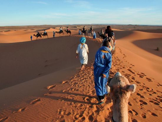 7泊8日 モロッコ周遊ツアー シャウエンほか10か所観光 フェズ＆マラケシュ各2泊＜カサブランカ発着／日本語or英語＞