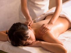 anspa_001