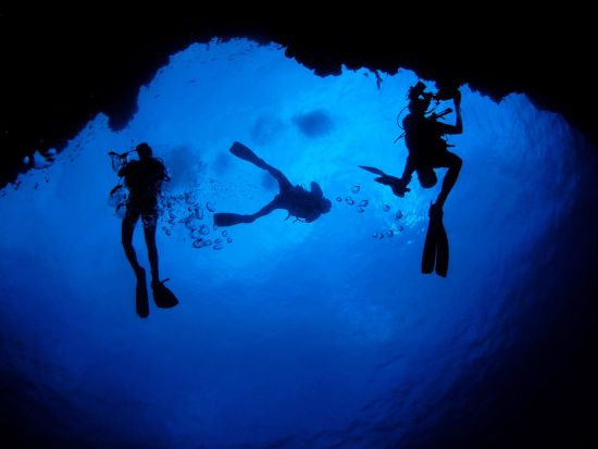 ファンダイビング　ボートでしか行けない地形ポイントへ！リフレッシュコースあり＜ボート／2ダイブ＞by Hilo Ocean Adventures