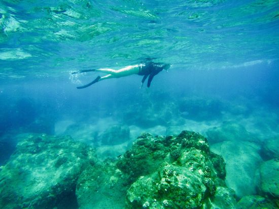 ヒロ湾 シュノーケリングツアー 　最大6名までの少人数制で穏やかな海を探索 ＜軽食付き／英語ガイド／ヒロ地区発＞