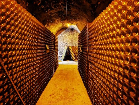シャンパーニュ地方シャンパン試飲ツアー　ヴーヴ・クリコ＋家族経営セラー　世界遺産ランス・ノートルダム大聖堂も見学＜昼食付／英語ガイド／ランス発＞