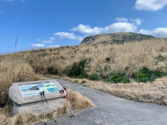 26E84D02-0C45-4941-9882-67CB79B03A4A