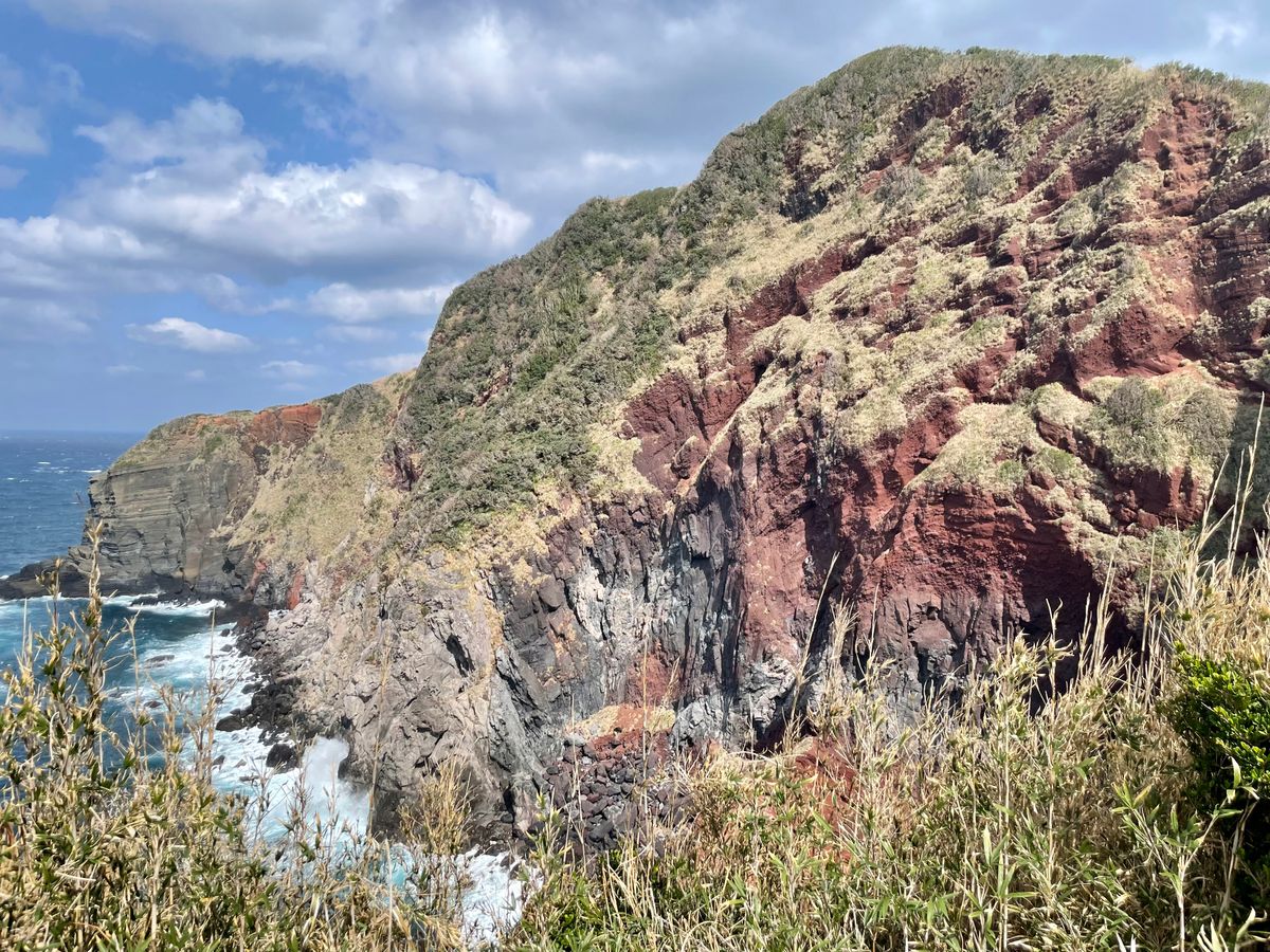 嵯峨島をこよなく愛する烏山ガイドと行く！嵯峨島半日トレッキング