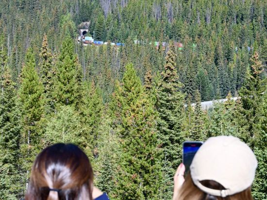 世界遺産カナディアンロッキー　3つの国立公園を制覇！早朝エメラルド湖でのカヌー時間確保＜5～10月／日本語ガイド／1名催行可＞