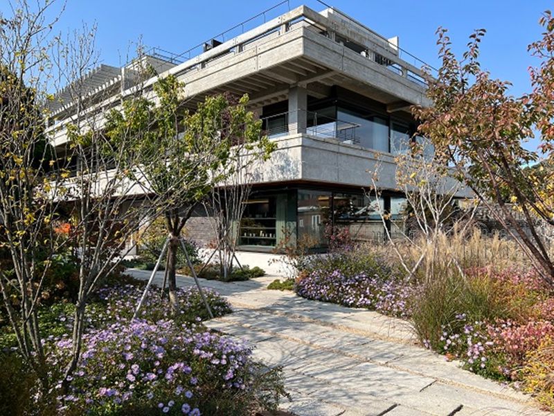 200012080_base_16678036326194