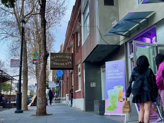 サンフランシスコ半日観光ツアー　ミッション地区バレンシア通りを散策 ＜日本語ガイド＞