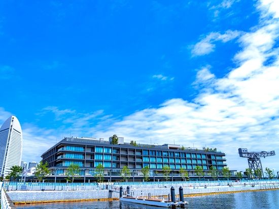 pixta_78559514_Mハンマーヘッド