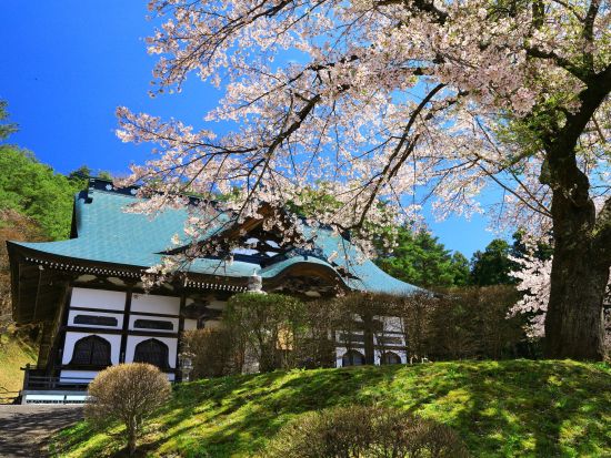 貸切観光タクシー　花巻から行く！陸前高田の奇跡の一本松+えさし藤原の郷+遠野カッパ伝説　春の桜や秋の紅葉も魅力的♪＜7時間／花巻発⇒遠野着＞