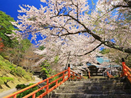 貸切観光タクシー 遠野物語の観光地めぐり　カッパ淵+伝承園+福泉寺+卯子酉神社etc.＜4.5時間／盛岡発⇒花巻着＞