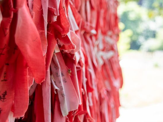 貸切観光タクシー 遠野物語の観光地めぐり　カッパ淵+伝承園+福泉寺+卯子酉神社etc.＜4.5時間／盛岡発⇒花巻着＞