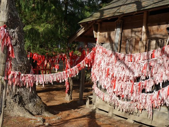貸切観光タクシー 遠野物語の観光地めぐり 卯子酉神社+五百羅漢または続石+道の駅風の丘etc. 観光後は盛岡へお送り＜4時間／遠野発→盛岡着＞