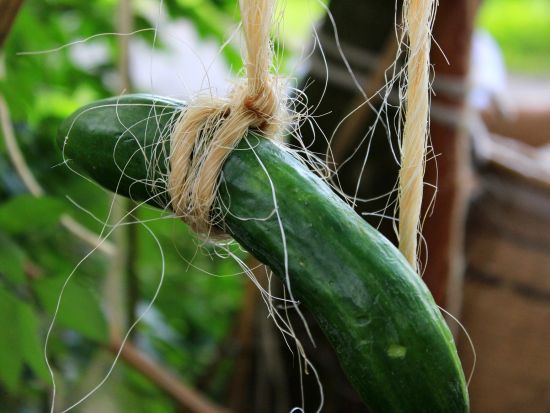 貸切観光タクシー 遠野物語の観光地めぐり　カッパ淵+伝承園+姥捨て伝説のデンデラ野etc.＜2時間／遠野市内発着＞