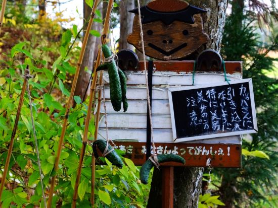 貸切観光タクシー 遠野物語の観光地めぐり　カッパ淵+伝承園+姥捨て伝説のデンデラ野etc.＜3時間／花巻発⇒遠野着＞